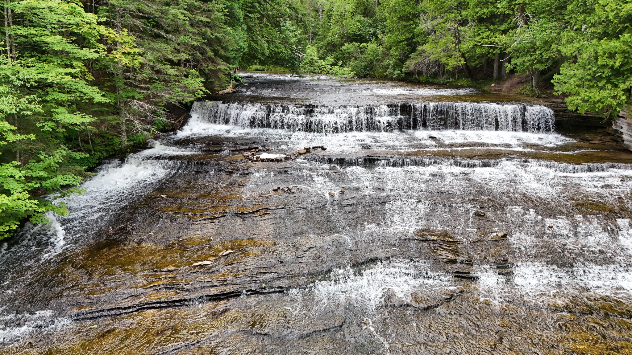 Aerial view of cascading water through a forest