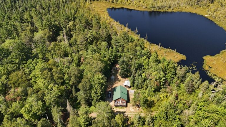 Aerial view of a remote cabin between forest and a lake